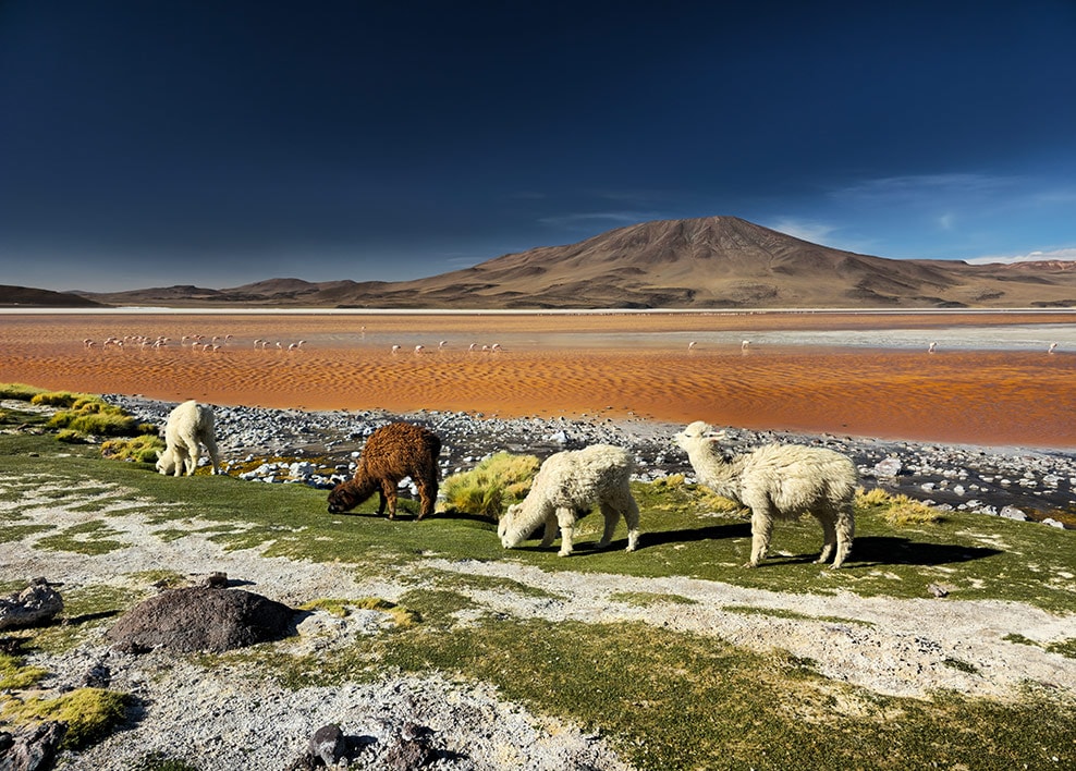 Une photo de paysage de 200 mégapixels présente une grande richesse de détails et de couleurs. Lorsqu'elle est recadrée de plus près, les détails restent clairs.