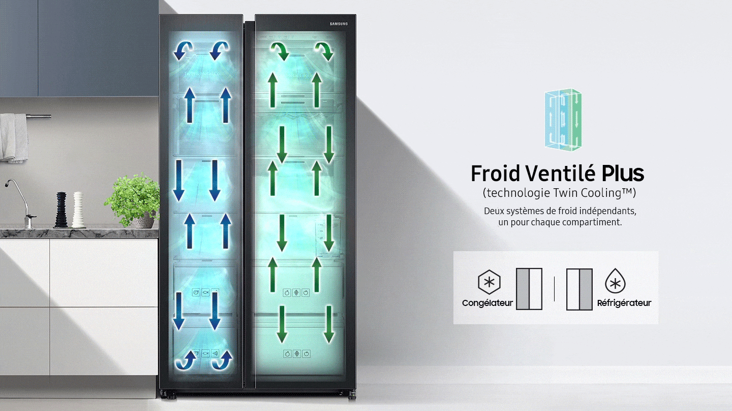 Froid ventilé intégral