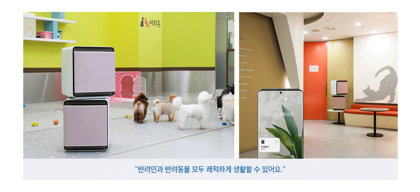 '반려인과 반려동물 모두 쾌적하게 생활할 수 있어요.' 이미지 설명 : (왼쪽 이미지) 삼성 무풍큐브가 설치되어 있는 방에 강아지들이 놀고 있습니다. (오른쪽 이미지) 스마트폰으로 스마트싱스 앱을 작동시켜서 삼성 무풍큐브를 작동시키고 있습니다.