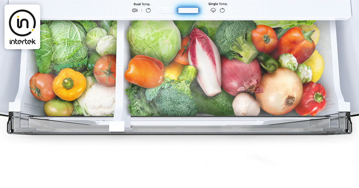There are Dual Temp icon and Single Temp icon, and Single Temp is enabled. The RB7300 is full of vegetables and can adjust the size of the vegetable-filled space as desired. There is Intertek logo.