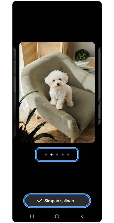 Sketsa anak anjing berubah menjadi gambar anak anjing nyata
