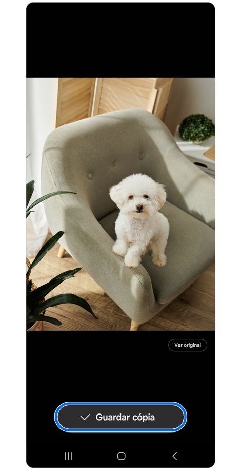 Imagem de um filhote no painel de edição de fotografia