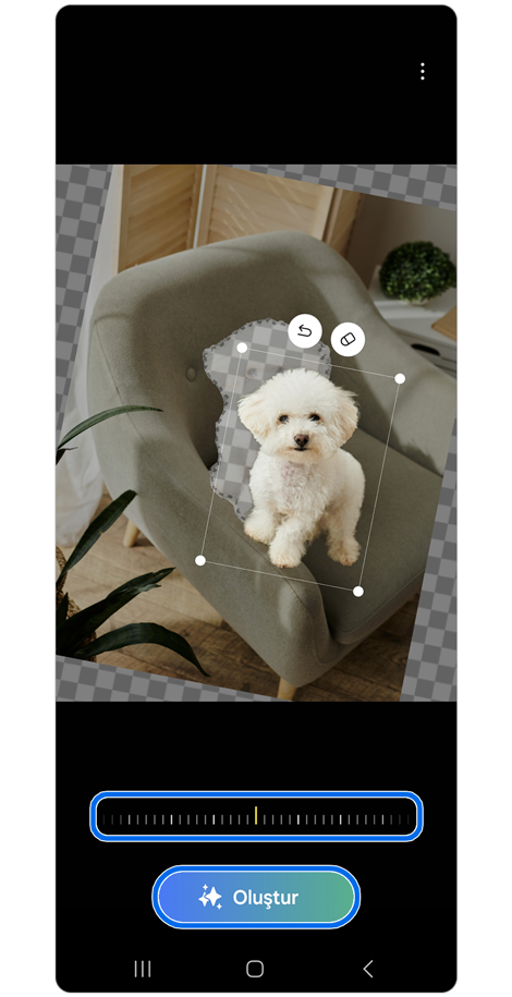 Fotoğraf düzenleme panelinde bir yavru köpek görseli