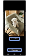 The puppy sketch turned into a real puppy image