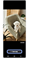 Image of a puppy in the photo edit panel