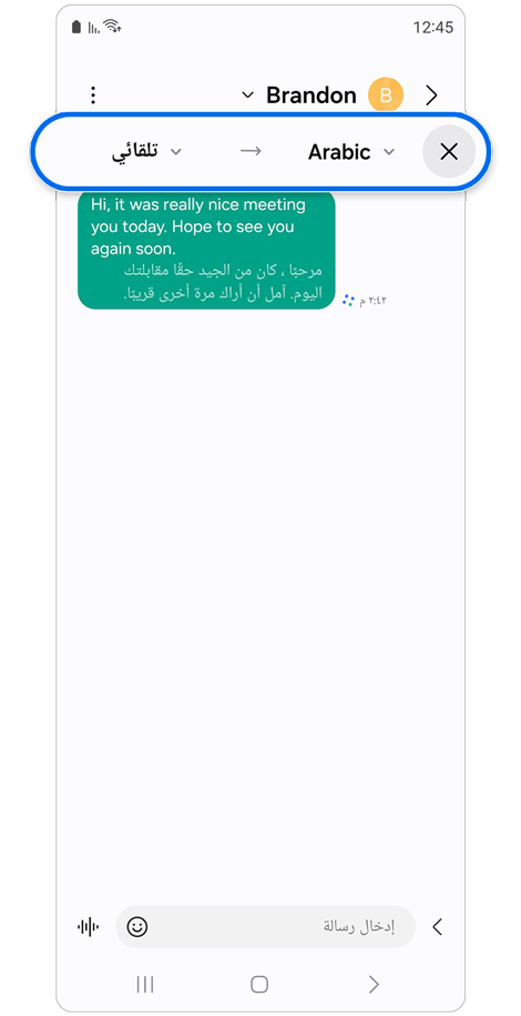 النافذة المنبثقة لاختيار اللغة