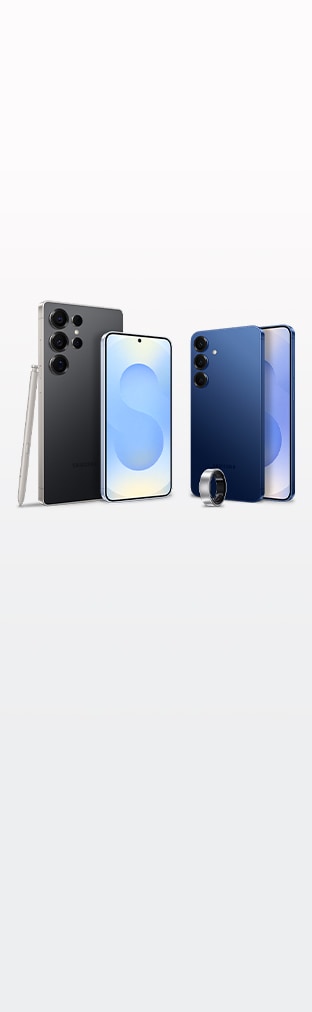 Flagship Galaxy image