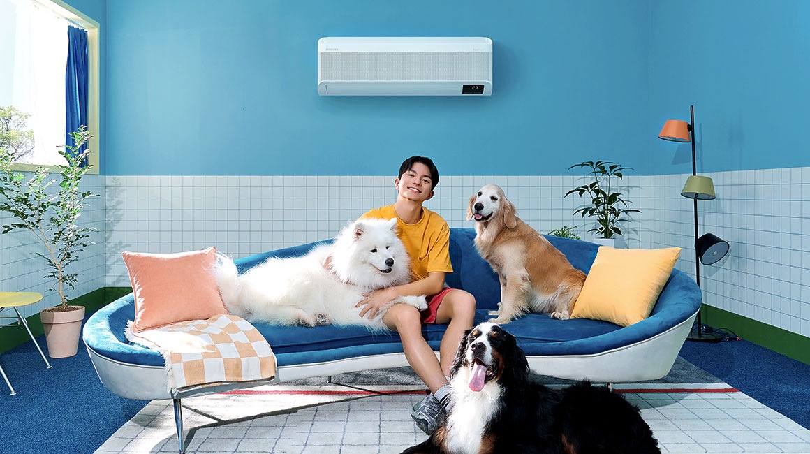 A man sits on a couch in a blue living room with three dogs. They are relaxing in front of a wall-mounted WindFree AC.