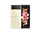 Z Flip3