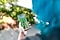 Holly Patterson walks on the High Line in New York City, playing Pokemon GO AR+ on the Galaxy Note10 and catching pokemon along the way.