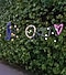 Dots, a star, circle, square and heart AR doodles against a backdrop of greenery