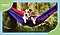 Master it. Creator classes.' A dog and cat cuddle together on a hammock in the forest.