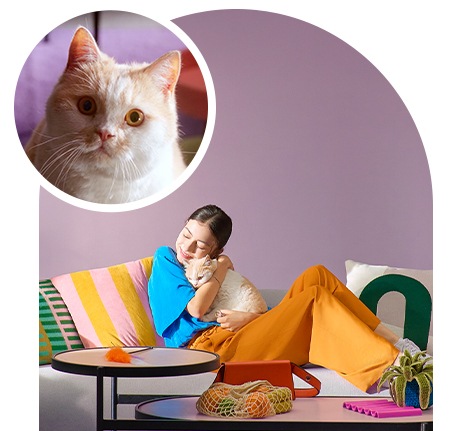 طفلة تعانق قطة أثناء استرخائها على أريكة. وفي أعلى اليسار تظهر لقطة مقرّبة لوجه القطة.