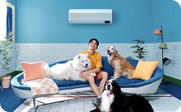 يجلس رجل على أريكة داخل غرفة زرقاء مع ثلاثة كلاب وجميعهم مسترخون مقابل مكيّف هواء جداري Windfree.