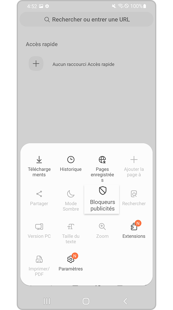 Sélectionnez le paramètre des bloqueurs de publicité