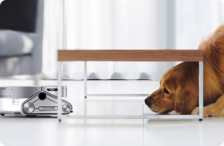 Një Samsung Jetbot po pastron dyshemenë e dhomës së ndenjjes dhe një qen me pamje kureshtare po e shikon me kokën poshtë tavolinës.