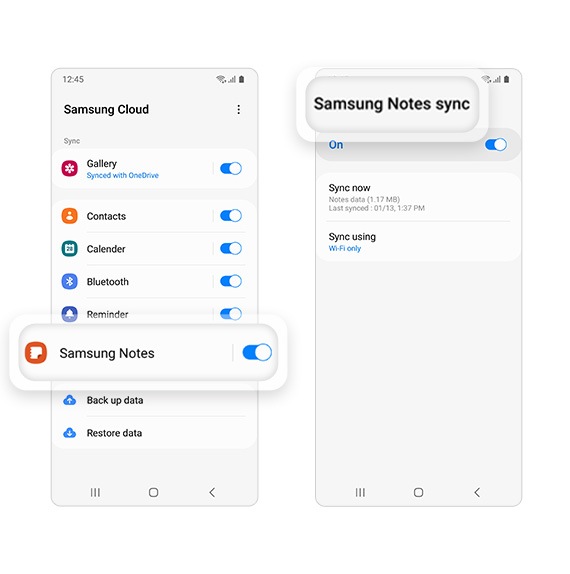 A la izquierda hay una captura de pantalla de la página de Samsung Cloud con la función Samsung Notes ampliada. A la derecha hay una captura de pantalla de la página de sincronización de Samsung Notes.