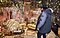 El director Joe Wright en el set, mirando a una mujer con un vestido dorado sobre un brillante sofá dorado y rodeada de decoración dorada.