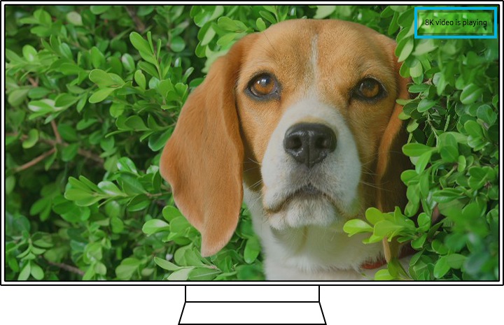 ejemplo de prueba de video de autodiagnóstico de cuidado del dispositivo para qled