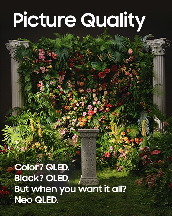 Un telón de fondo floral adornado con una variedad de flores coloridas está ubicado en el centro, simbolizando la calidad de imagen. Un objeto de piedra es un punto focal. ¿Los textos Color? QLED ¿y negro? OLED Pero, ¿cuándo lo quieres todo? El Neo QLED se muestra en la parte inferior.