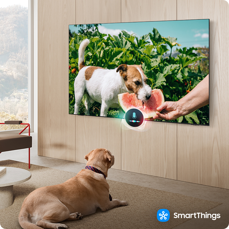 En una sala de estar, un perro mira una escena de otro perro mordiendo una sandía en una pantalla de TV. Logotipo de SmartThings.