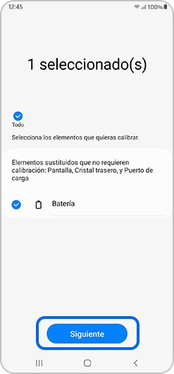 El botón Siguiente se encuentra seleccionado en la aplicación Self Repair