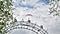 Der Stuntman Roland Brunnbauer spring vom Wiener Riesenrad.