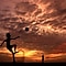 Erstklassige Fernseher zeigen Details im Licht und Schatten Bild: Pexels / Manu Mangalassery