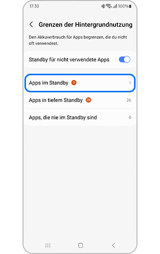 Screenshot der Grenzen der Hintergrundnutzung, in dem die Option Apps im Standby markiert ist.