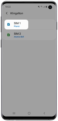 Der angepasste Klingelton wird im Galaxy S10e angezeigt.