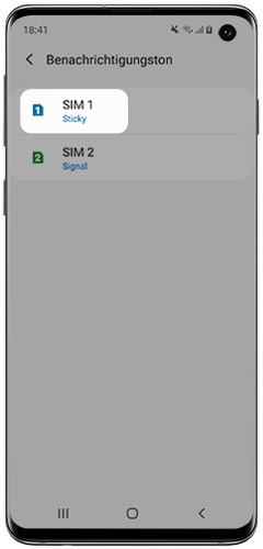 Der angepasste Klingelton wird im Galaxy S10e angezeigt.