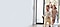 Home air purifiers