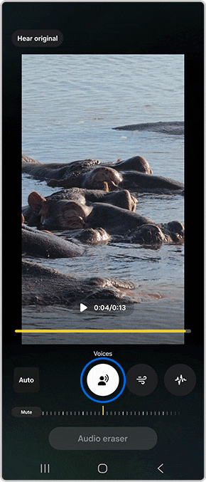 Choose preferred audio setting