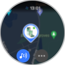 Tap on Ring icon