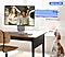 A scene of two women talking plays on a monitor. Audio bars for Dialogue and Background sound move in sync with the video. With AVA Pro OFF, the sound remains the same even when a dog makes barking noises. But with AVA Pro ON, the dialogue sound increases to deliver a better listening experience.