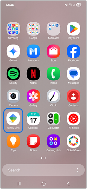 Launch Family Link app