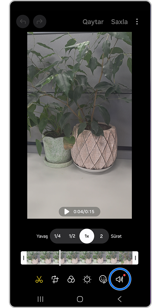 Səsin tənzimlənməsi nişanına vurun;