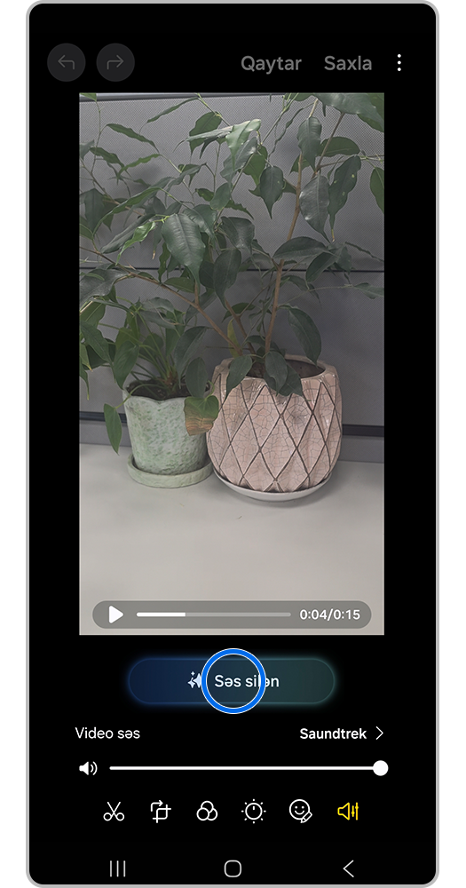 Düymə Səsin silinməsi