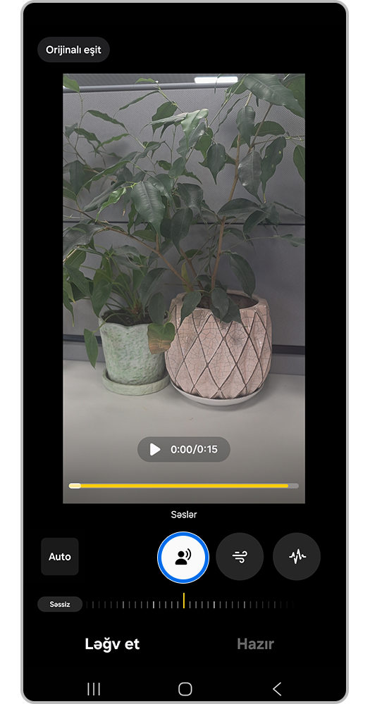 Səsin idarə edilməsi dəyişdiricisi;