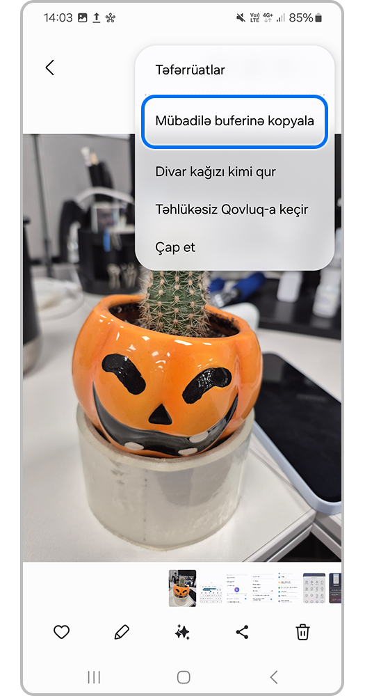 "Qalereya" tətbiqindən nümunə