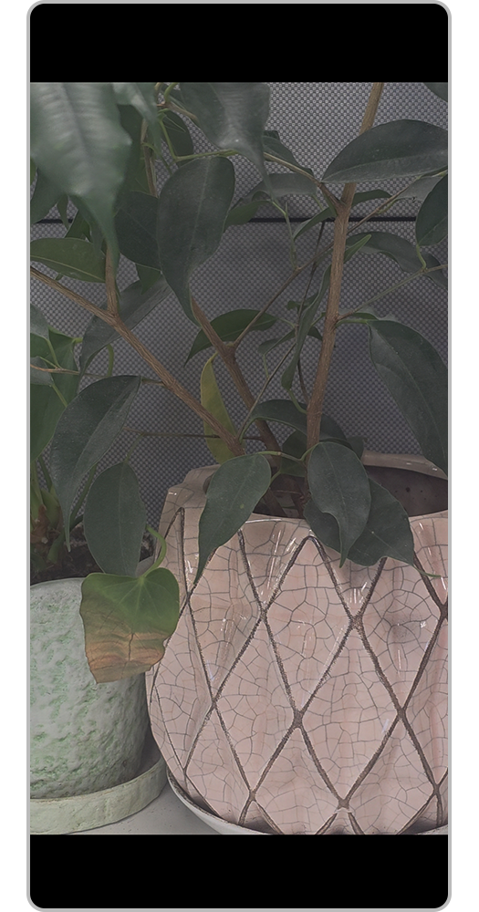 Siz video pleyerə daxil oldunuz