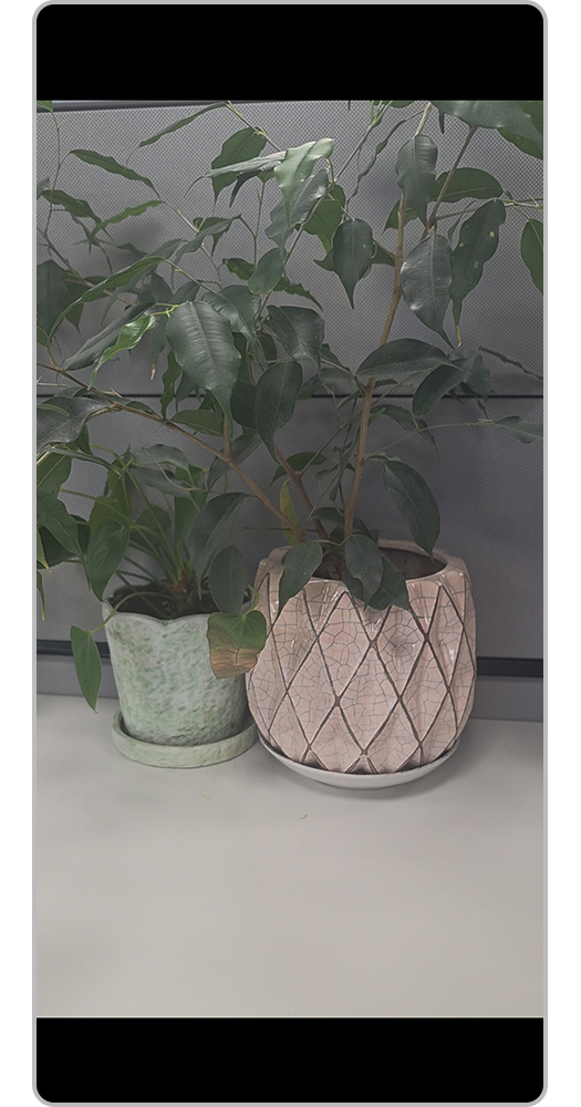 Siz video pleyerə daxil oldunuz