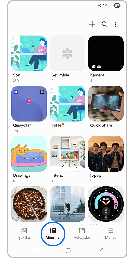 Qalereyada albom nişanı şəkli.