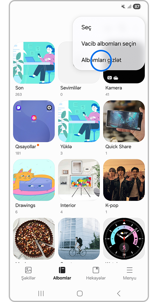 Əlavə seçimlərdə göstərmək üçün albom seçimi xüsusiyyətinin şəkli.