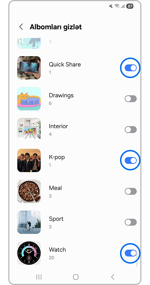 Gizlətmək üçün seçilmiş qalereyada xüsusi albomların şəkli.