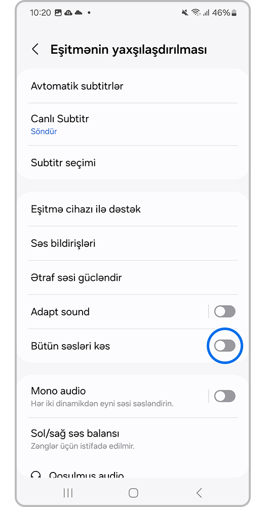 Smartfon ekranı, Bütün səsləri kəsmək funksiyasını söndürmək üçün onun qarşısındakı sürüngəci hərəkət etdirin.