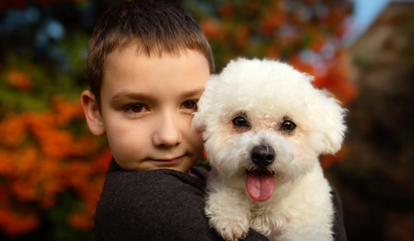 A picture of a young boy holding a dog, set against a bright floral background, with AI editing options displayed at the bottom. The Portrait effect option is selected, blurring the background image so the boy and the dog stand out.