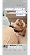 Tap Create GIF
