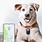 Een blije hond die op een tapijt ligt en een kraag draagt met een trackingapparaat. Op een smartphonescherm wordt een kaart met de locatie van de hond getoond.