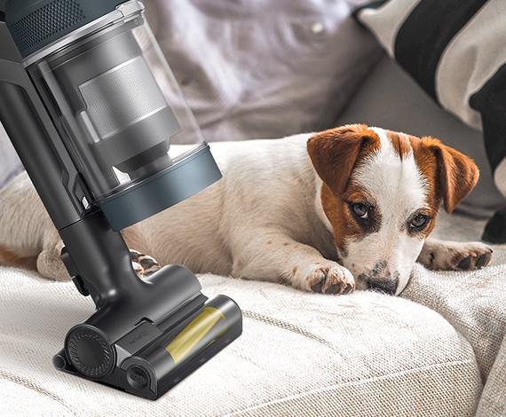 We zien een close-up van een Samsung Jet-stofzuiger met de Pet Tool+-accessoire die wordt gebruikt op een bank waar een hond ligt te slapen.